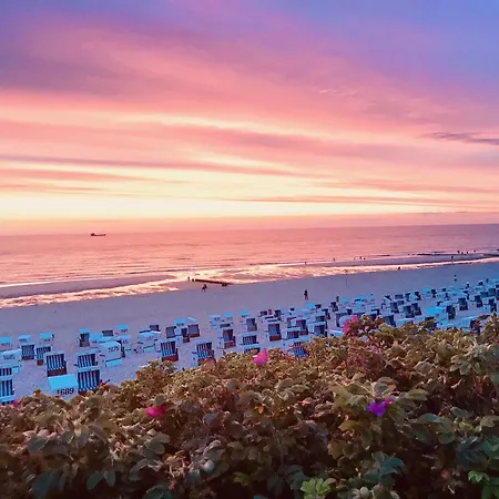 Fugl Hus * Westerland