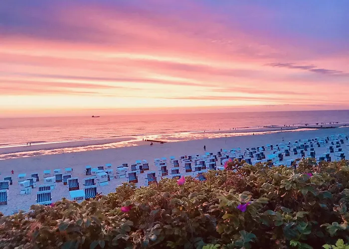 Fugl Hus * Westerland